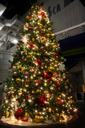 おしゃれなクリスマスツリーがたくさん どんなデザインが人気